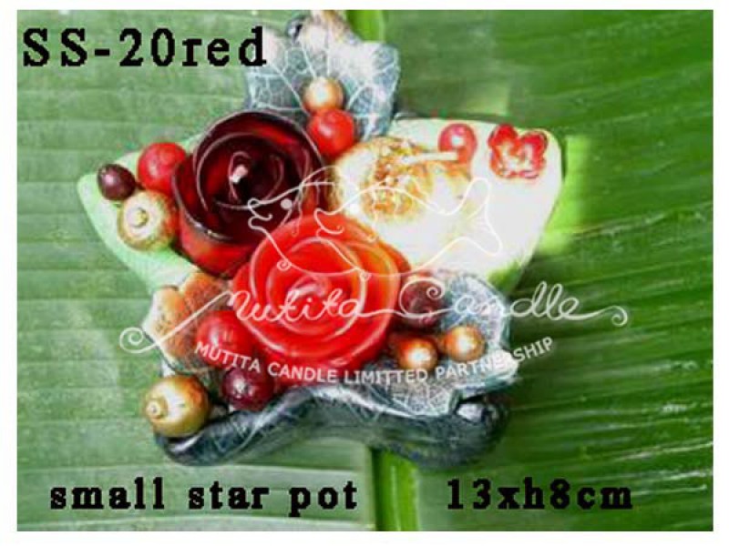 เทียนหอม เดชอุดม : CHRISTMAS COLOUR SET3|flower candles from Thailand for christmas seasoning
RICH ROSES BOUQUET WITH FRUIT AND CHRISTMAS SPICE|SS-20RED|Small star in pot 13 x h8 cm