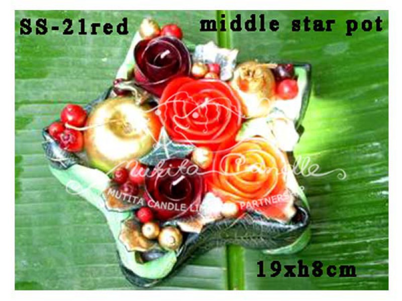 เทียนหอม เดชอุดม : CHRISTMAS COLOUR SET3|flower candles from Thailand for christmas seasoning
RICH ROSES BOUQUET WITH FRUIT AND CHRISTMAS SPICE|SS-21RED|Middle star in pot 19 x h8 cm