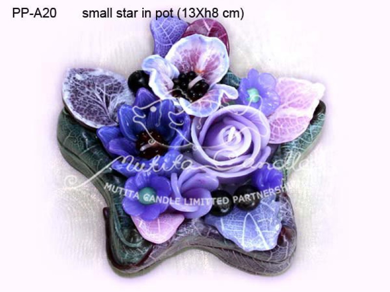 เทียนหอม เดชอุดม :  PINK PURPLE COLOUR A|Flower candles from Thailand for any ocassions
WILD FLOWER CANDLES IN MYSTERIOUS COLOUR|PP-A20|Small star in pot 13 x h8 cm