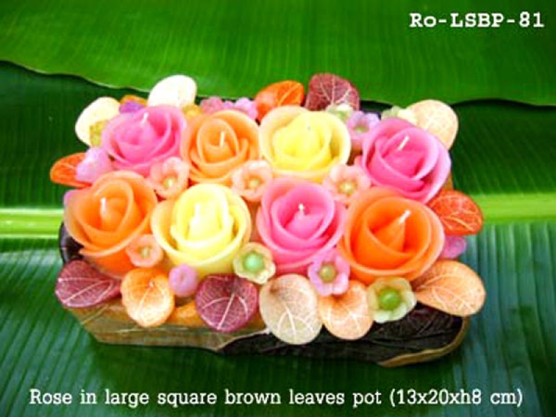 เทียนหอม เดชอุดม : CATALOGUE01|small items of flower candles from Thailand for any ocassions
FLOWER CANDLES COLLECTIONS|Ro-LSBP-81|large square brown leaves pot 13 x 20 x h 8 c