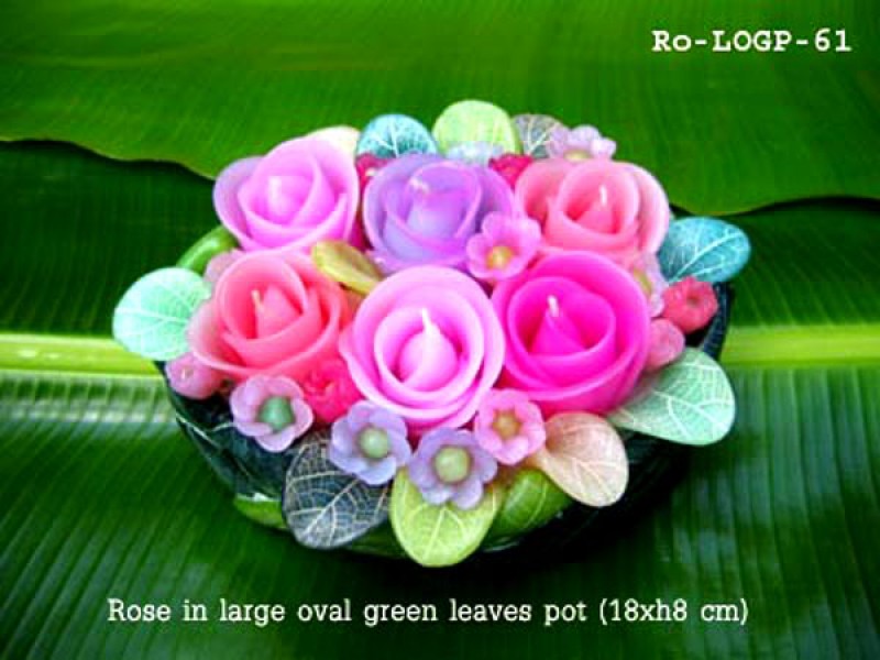 เทียนหอม เดชอุดม : CATALOGUE01|small items of flower candles from Thailand for any ocassions
FLOWER CANDLES COLLECTIONS|Ro-LOGP-61|large oval green leaves pot 18 x h 8 cm
