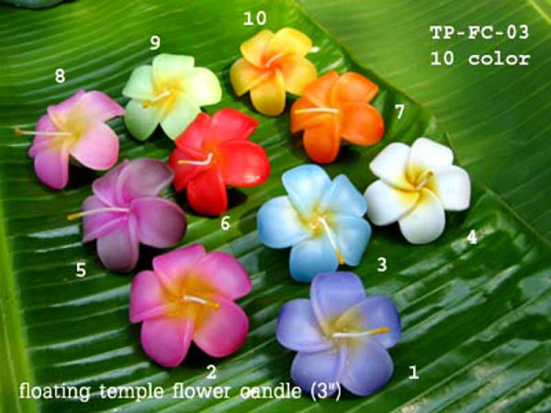 เทียนหอม เดชอุดม :  CATALOGUE03|Small floating flower candles from Thailand
FLOATING FLOWER CANDLES|TP-FC-03|3 Inch