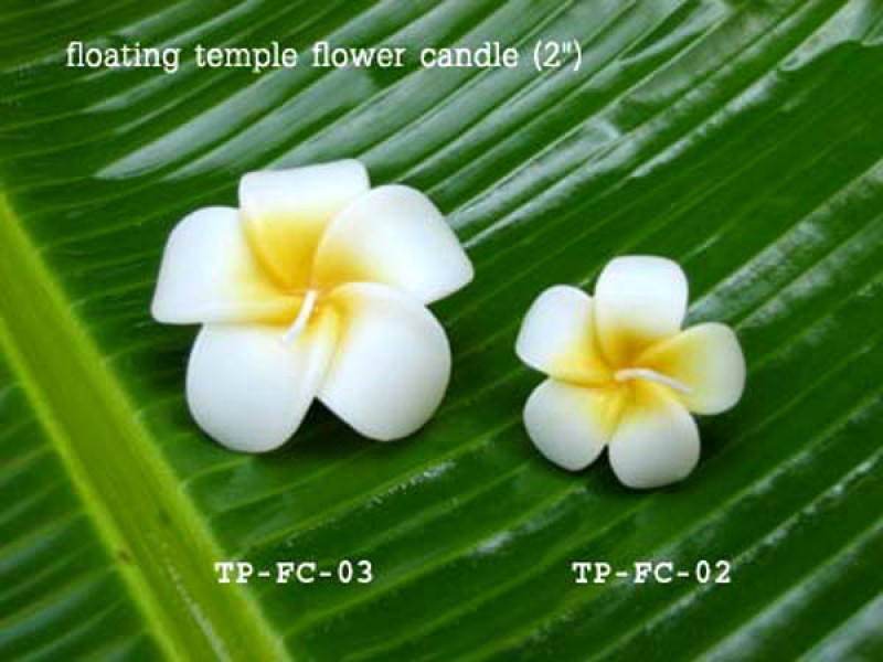 เทียนหอม เดชอุดม :  CATALOGUE03|Small floating flower candles from Thailand
FLOATING FLOWER CANDLES|TP-FC-02|2 Inch