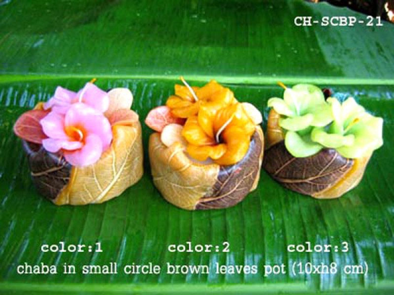 เทียนหอม เดชอุดม : CATALOGUE02|small items of flower candles from Thailand for any ocassions
A TOUCH OF THAI, MIXED WITH WILD FLOWER CANDLES|CH-SCBP-21|small circle pot 10 x h 8 cm