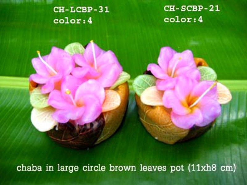 เทียนหอม เดชอุดม : CATALOGUE02|small items of flower candles from Thailand for any ocassions
A TOUCH OF THAI, MIXED WITH WILD FLOWER CANDLES|CH-LCBP-31|large circle pot  11 x h8 cm