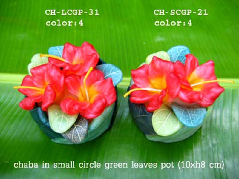 เทียนหอม เดชอุดม : CATALOGUE02|small items of flower candles from Thailand for any ocassions
A TOUCH OF THAI, MIXED WITH WILD FLOWER CANDLES|CH-LCBP-31|small circle pot 10 x h 8 cm