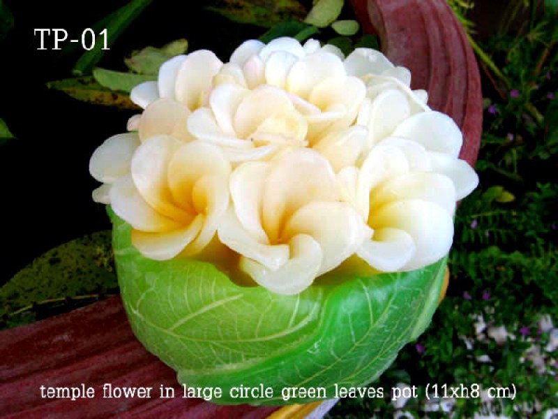 เทียนหอม เดชอุดม : CATALOGUE02|small items of flower candles from Thailand for any ocassions
A TOUCH OF THAI, MIXED WITH WILD FLOWER CANDLES|TP-01|large circle pot  11 x h8 cm