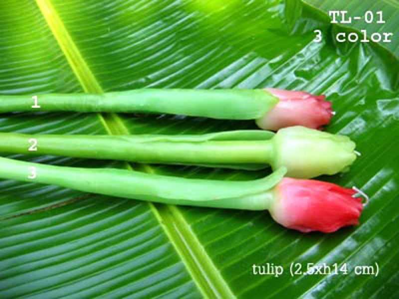 เทียนหอม เดชอุดม : CATALOGUE02|small items of flower candles from Thailand for any ocassions
A TOUCH OF THAI, MIXED WITH WILD FLOWER CANDLES|TL-01|2.5 x h14 cm