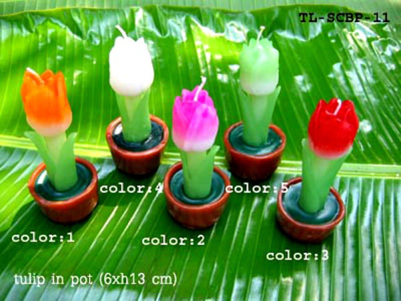 เทียนหอม เดชอุดม : CATALOGUE02|small items of flower candles from Thailand for any ocassions
A TOUCH OF THAI, MIXED WITH WILD FLOWER CANDLES|TL-SCBP-11|6 x h 13 cm