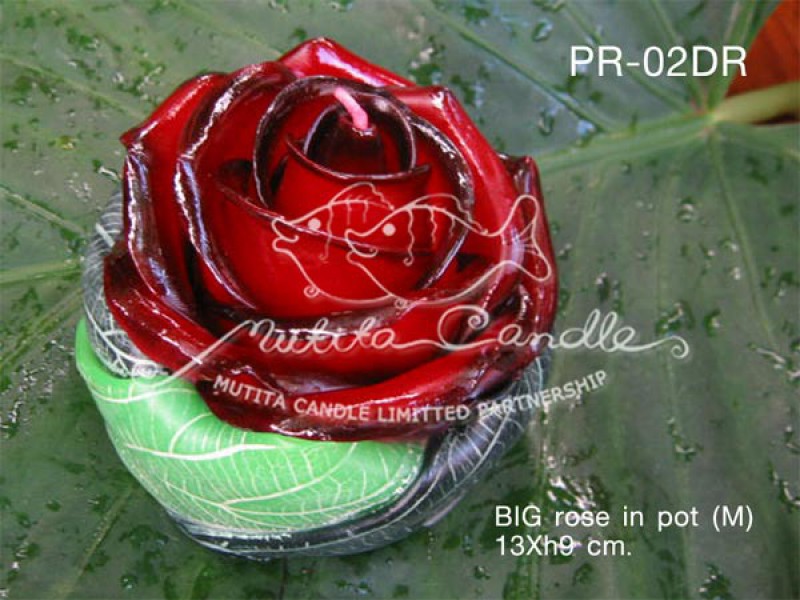 เทียนหอม เดชอุดม :  BIG ROSE SET|BIG ROSE CANDLES SWEET AND SOFT AROMATIC|PR-02DR|BIG Rose in pot (M) 13 x h9 cm