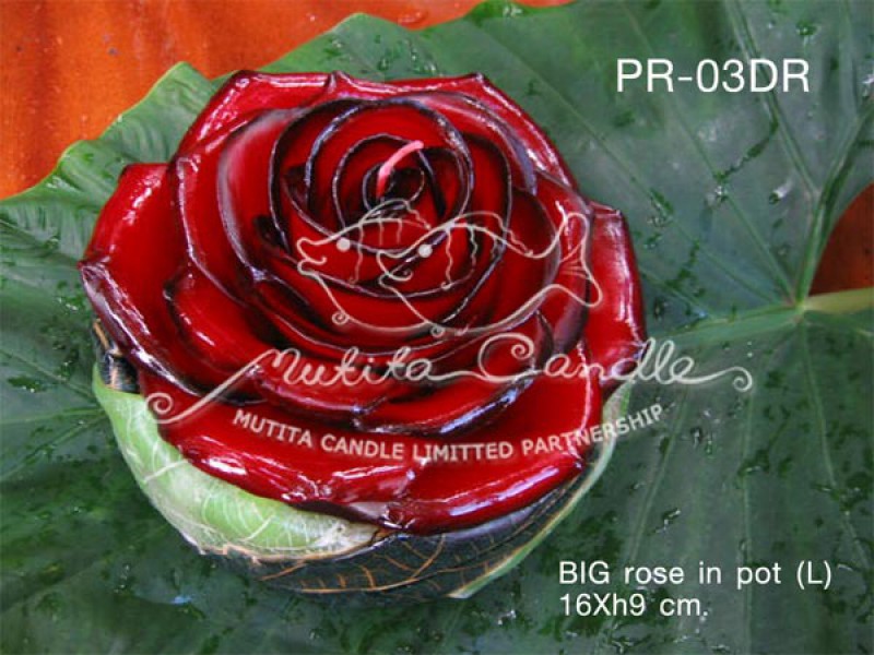 เทียนหอม เดชอุดม :  BIG ROSE SET|BIG ROSE CANDLES SWEET AND SOFT AROMATIC|PR-03DR|BIG Rose in pot (L) 16 x h9 cm