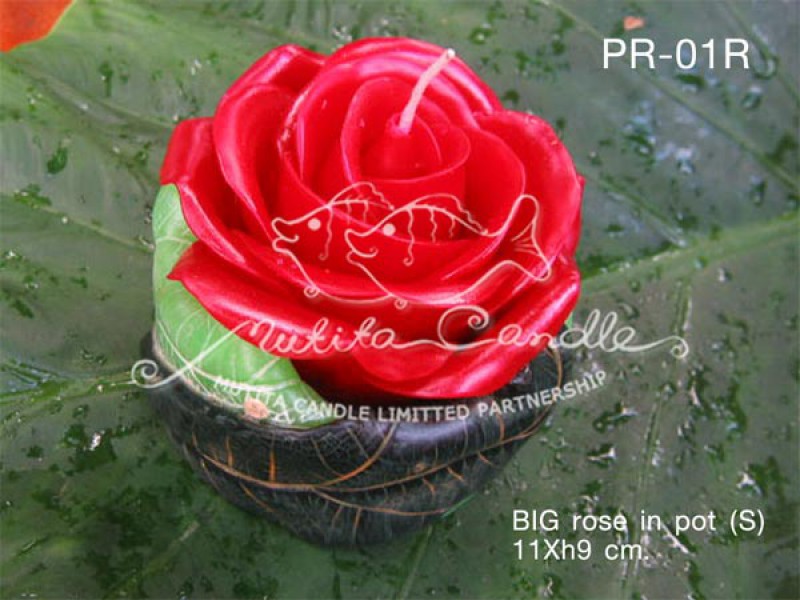 เทียนหอม เดชอุดม :  BIG ROSE SET|BIG ROSE CANDLES SWEET AND SOFT AROMATIC|PR-01R|BIG Rose in pot (S) 11 x h9 cm