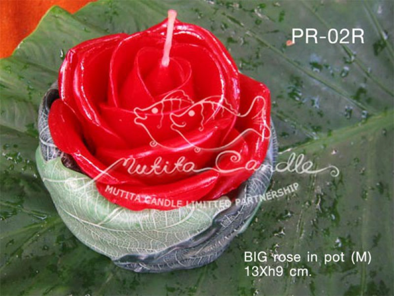 เทียนหอม เดชอุดม :  BIG ROSE SET|BIG ROSE CANDLES SWEET AND SOFT AROMATIC|PR-02R|BIG Rose in pot (M) 13 x h9 cm