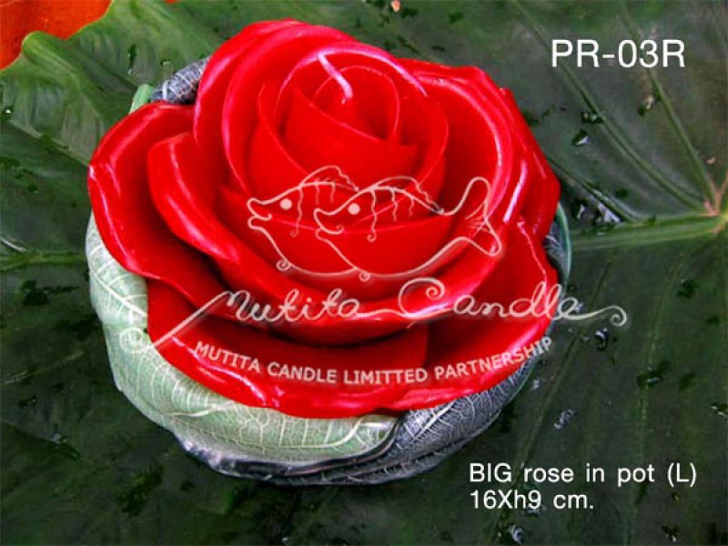 เทียนหอม เดชอุดม :  BIG ROSE SET|BIG ROSE CANDLES SWEET AND SOFT AROMATIC|PR-03R|BIG Rose in pot (L) 16 x h9 cm